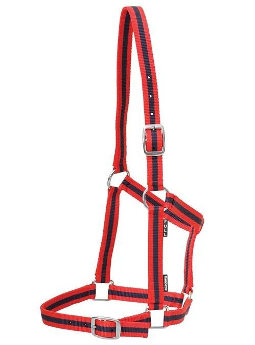 Headstall Webbing Academy Red & Navy-HORSE: Headstalls-Ascot Saddlery
