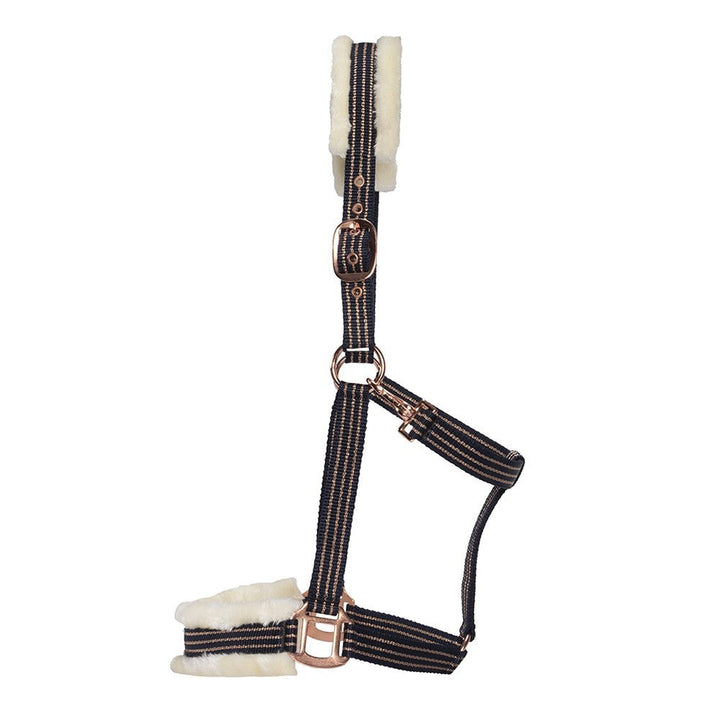 Headstall Webbing Fleece Padded Navy & Gold-HORSE: Headstalls-Ascot Saddlery