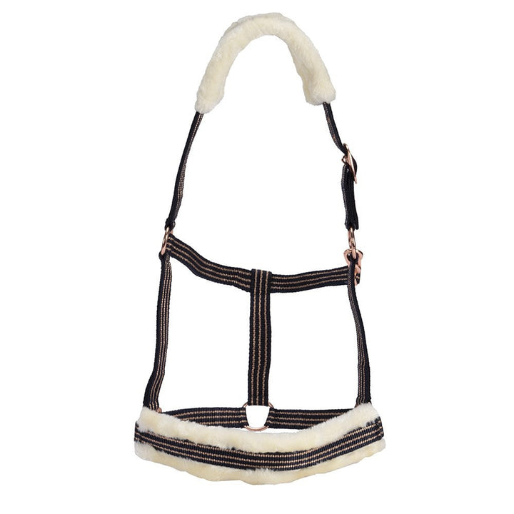 Headstall Webbing Fleece Padded Navy & Gold-HORSE: Headstalls-Ascot Saddlery