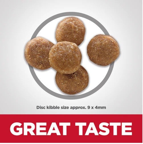 Hills Cat Adult Perfect Digestion-Cat Food & Treats-Ascot Saddlery