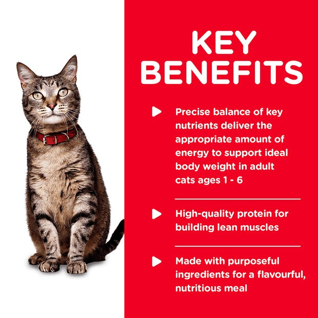 Hills Cat Wet Can Adult Tender Chicken Dinner 156gm-Cat Food & Treats-Ascot Saddlery