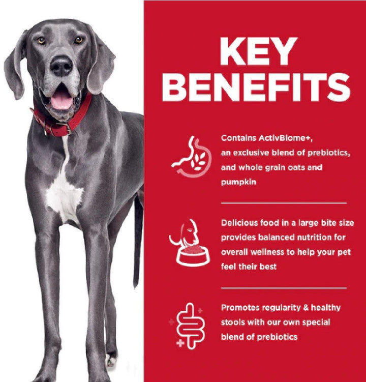 Hills Dog Adult Perfect Digestion Large Breed-Dog Food-Ascot Saddlery