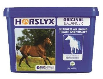 Horslyx Original Vitamin & Mineral Lick 5kg-STABLE: Supplements-Ascot Saddlery