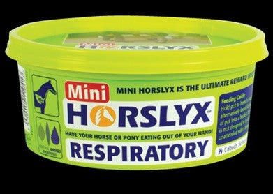 Horslyx Respiratory Mini Vitamin & Mineral Lick 650gm-STABLE: Supplements-Ascot Saddlery