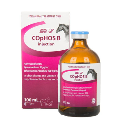Injectable Cophos B Ceva 100ml-STABLE: Supplements-Ascot Saddlery