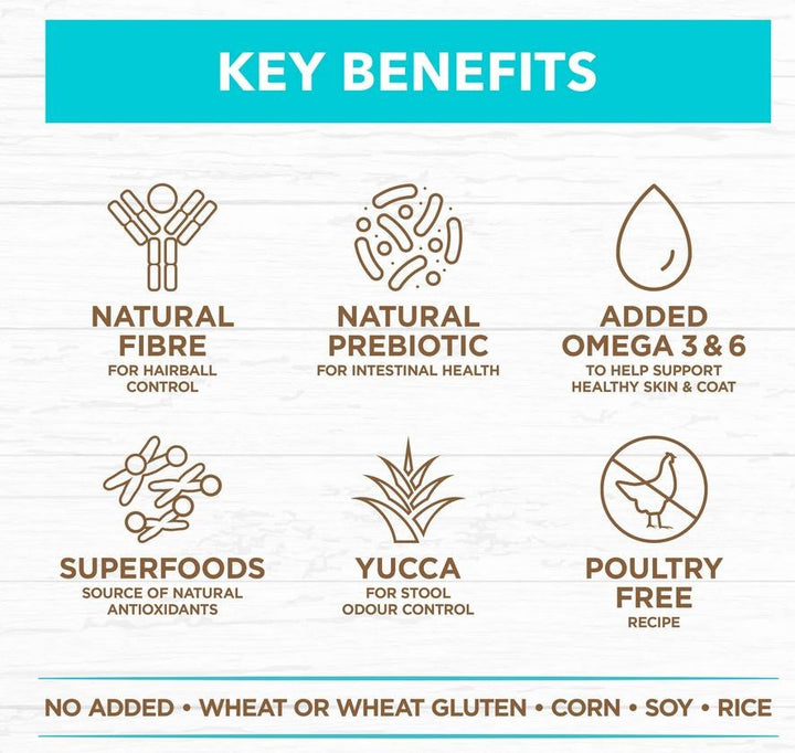 Ivory Coat Cat Grainfree Kitten Oceanfish 2kg-Cat Food & Treats-Ascot Saddlery