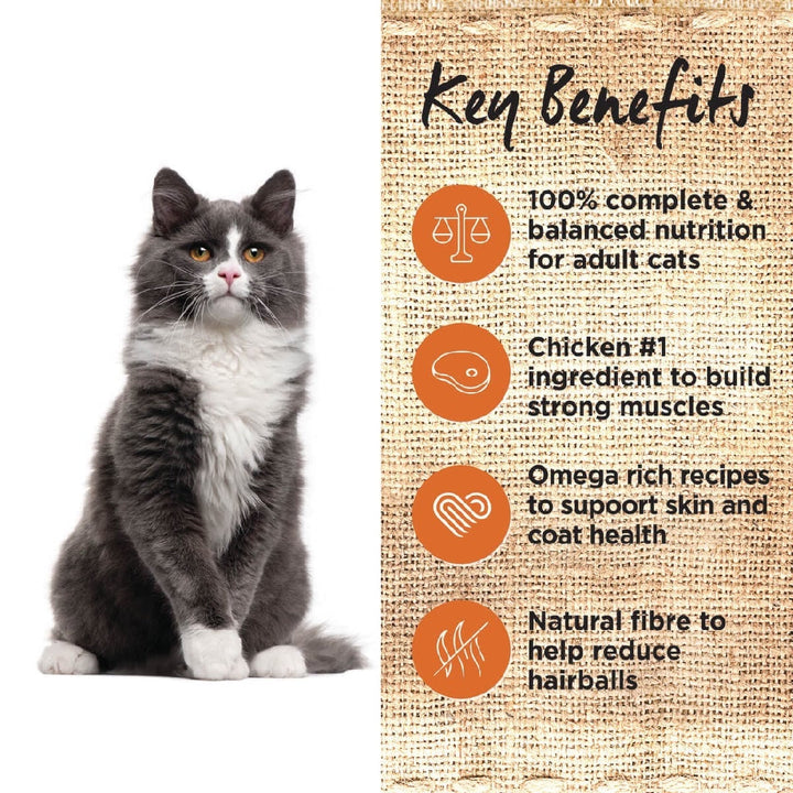 Ivory Coat Cat Wet Grainfree Adult Chicken In Gravy Box Of 12-Cat Food & Treats-Ascot Saddlery