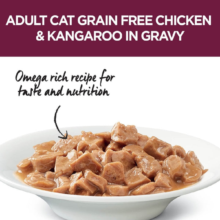 Ivory Coat Cat Wet Grainfree Adult Chicken & Kangaroo In Gravy Box Of 12-Cat Food & Treats-Ascot Saddlery