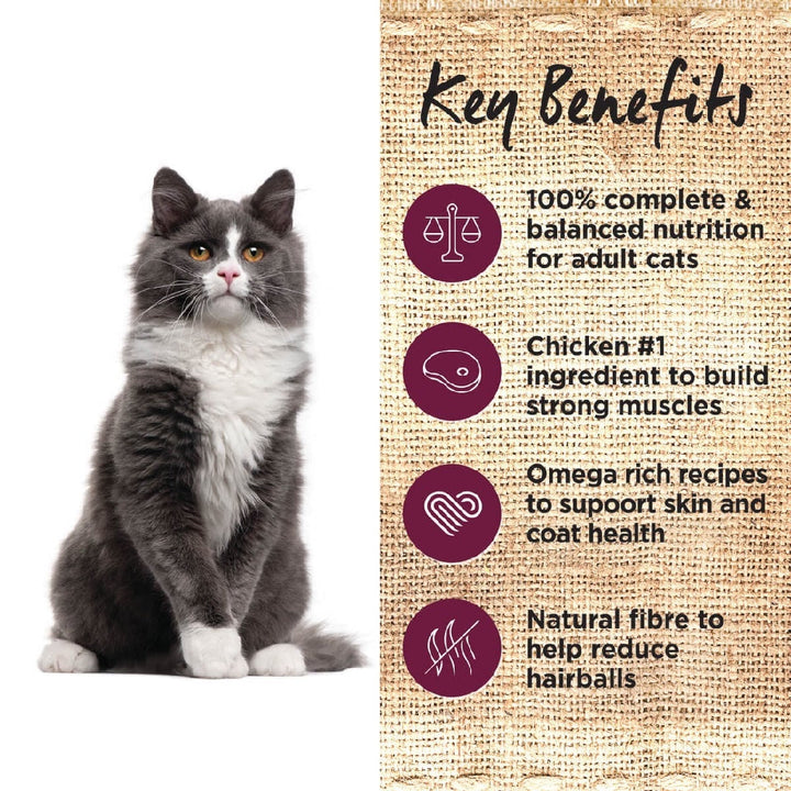 Ivory Coat Cat Wet Grainfree Adult Chicken & Kangaroo In Gravy Box Of 12-Cat Food & Treats-Ascot Saddlery