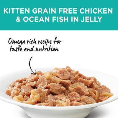 Ivory Coat Cat Wet Grainfree Kitten Chicken & Ocean Fish In Jelly Box Of 12-Cat Food & Treats-Ascot Saddlery
