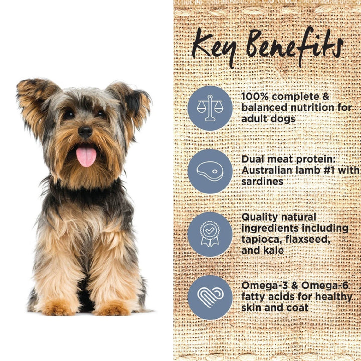 Ivory Coat Dog Grainfree Lamb & Sardine 2kg-Dog Food-Ascot Saddlery