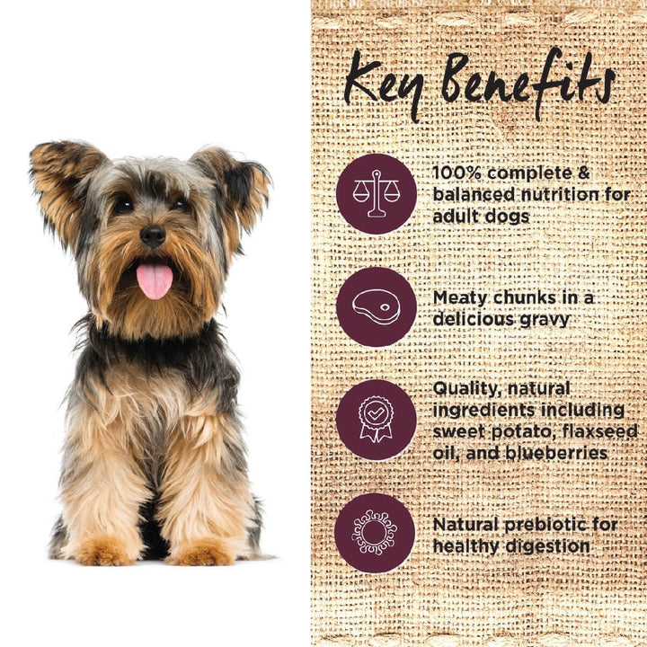 Ivory Coat Dog Wet Can Grainfree Lamb & Kangaroo Stew 400gm-Dog Food-Ascot Saddlery