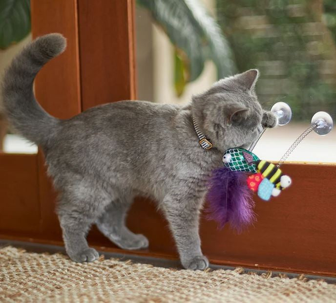 Kazoo Cat Toy Bouncy Bee-Cat Gyms & Toys-Ascot Saddlery