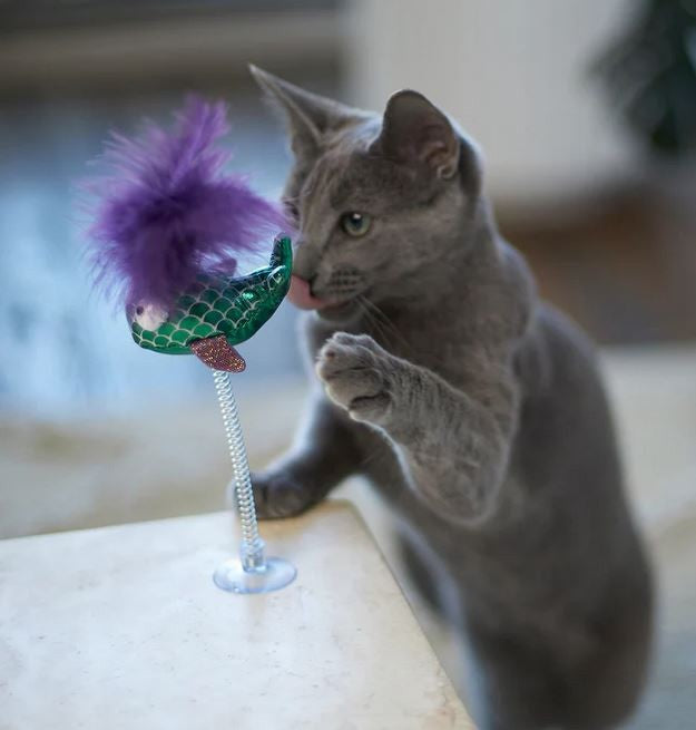 Kazoo Cat Toy Bouncy Fish-Cat Gyms & Toys-Ascot Saddlery