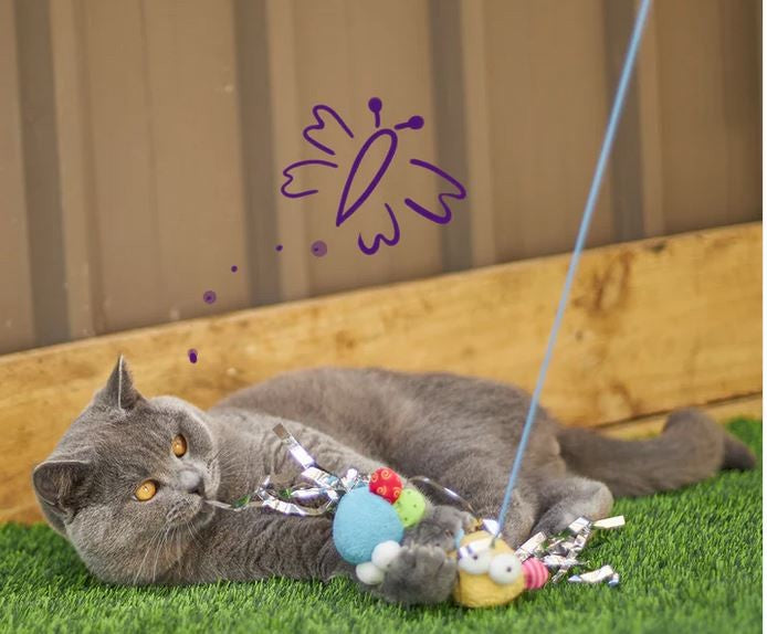 Kazoo Cat Toy Butterfly High Wand-Cat Gyms & Toys-Ascot Saddlery