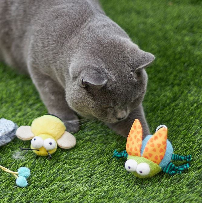 Kazoo Cat Toy Buzzing Bug-Cat Gyms & Toys-Ascot Saddlery