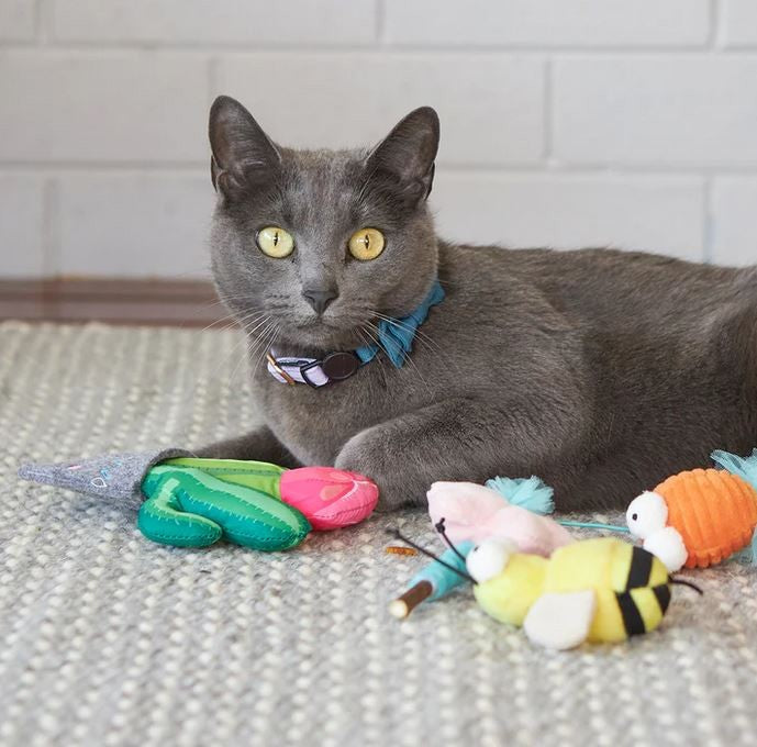 Kazoo Cat Toy Cactus Garden-Cat Gyms & Toys-Ascot Saddlery