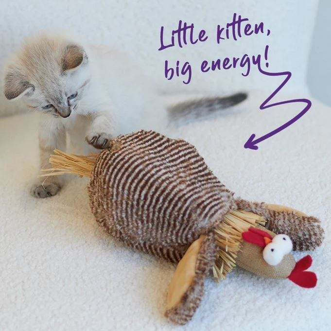 Kazoo Cat Toy Cheeky Chicken-Cat Gyms & Toys-Ascot Saddlery