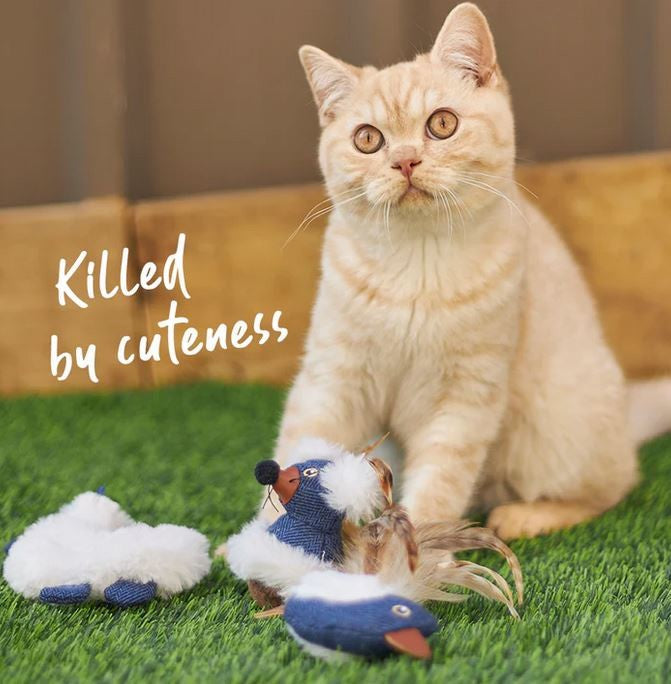 Kazoo Cat Toy Chirpy Bird-Cat Gyms & Toys-Ascot Saddlery