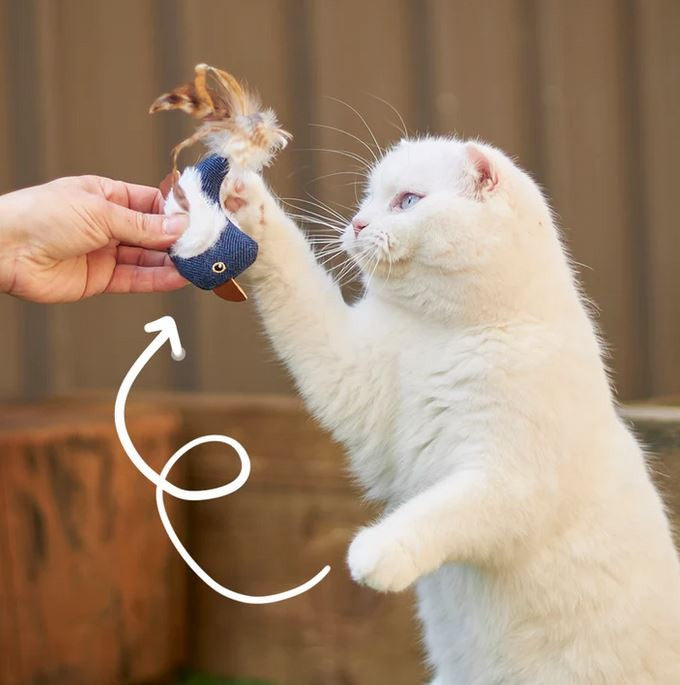 Kazoo Cat Toy Chirpy Bird-Cat Gyms & Toys-Ascot Saddlery