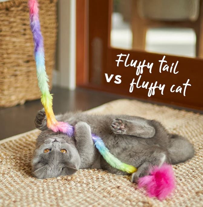 Kazoo Cat Toy Fluffy Rainbow Tail-Cat Gyms & Toys-Ascot Saddlery