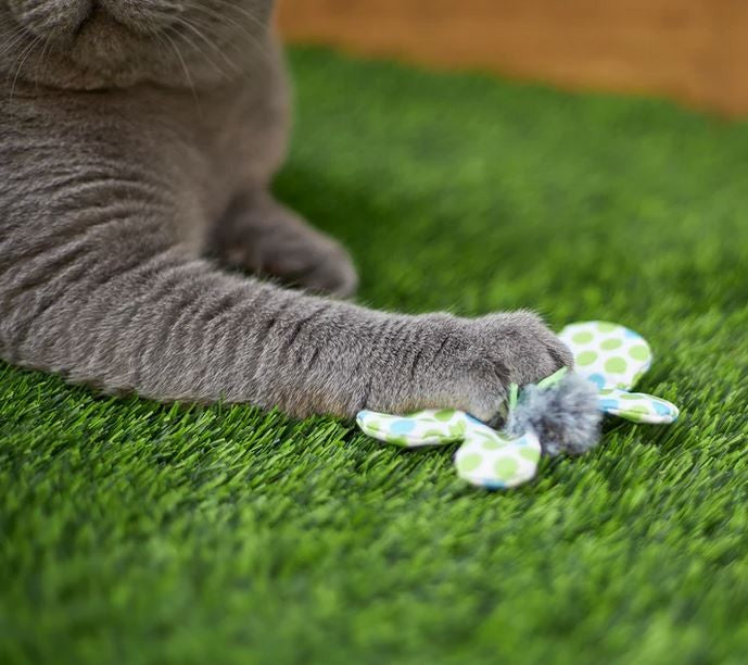 Kazoo Cat Toy Flutterby-Cat Gyms & Toys-Ascot Saddlery