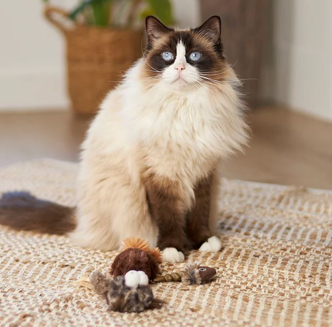 Kazoo Cat Toy Gone Fishing-Cat Gyms & Toys-Ascot Saddlery