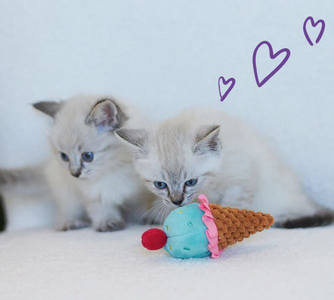 Kazoo Cat Toy Icecream Vibes-Cat Gyms & Toys-Ascot Saddlery