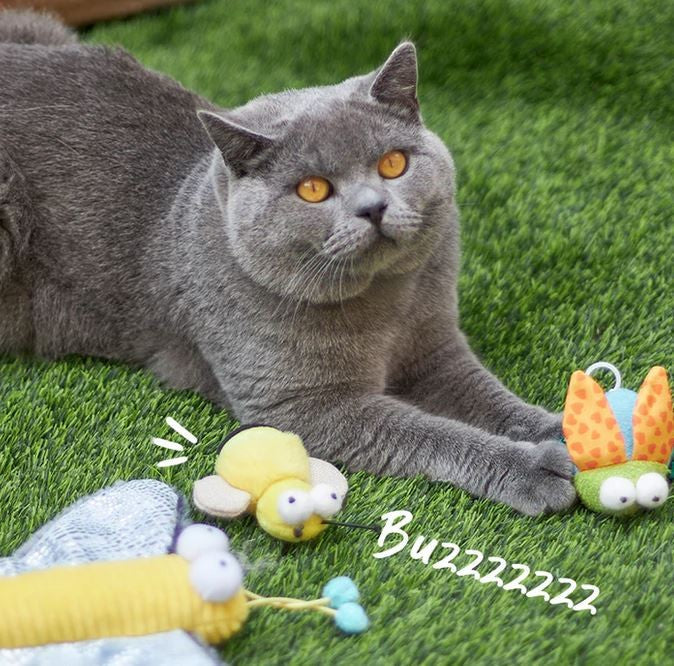 Kazoo Cat Toy Noisy Busy Bee-Cat Gyms & Toys-Ascot Saddlery