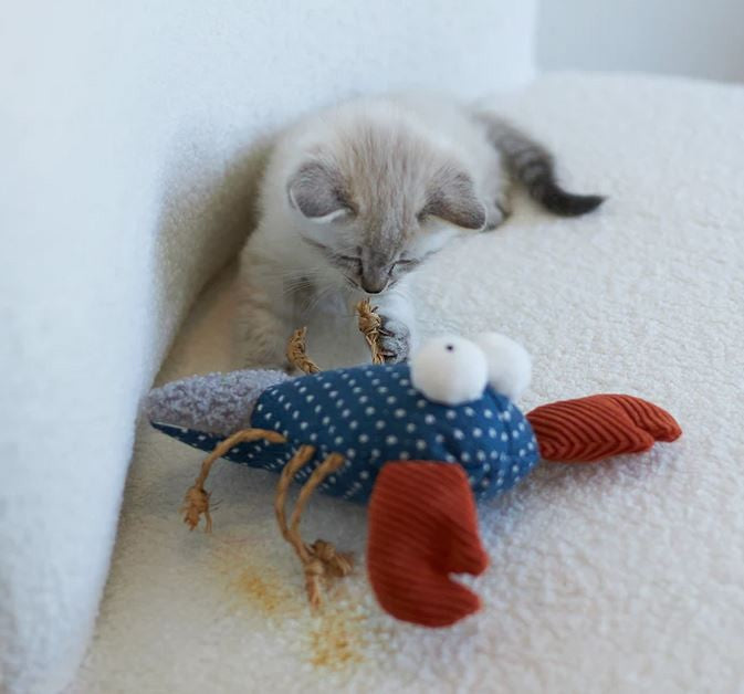 Kazoo Cat Toy Snappy Lobster-Cat Gyms & Toys-Ascot Saddlery