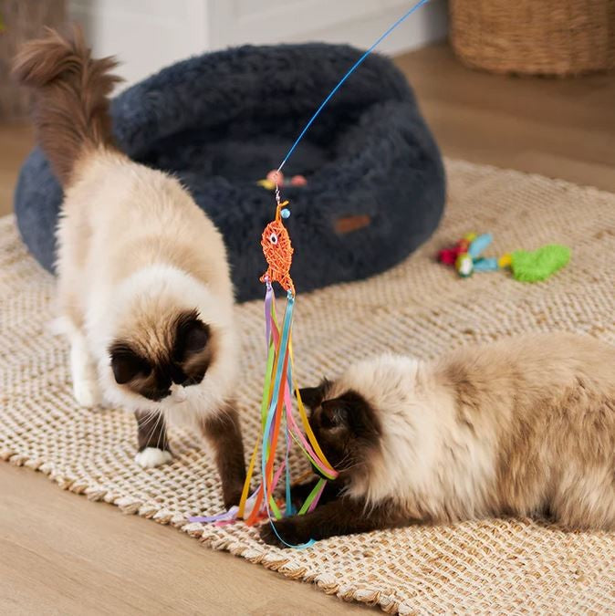 Kazoo Cat Toy Streamer Fish Wand-Cat Gyms & Toys-Ascot Saddlery