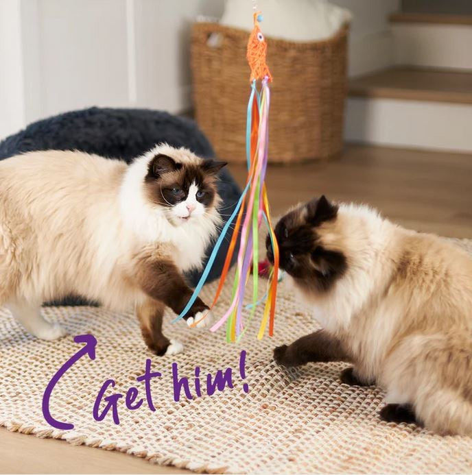 Kazoo Cat Toy Streamer Fish Wand-Cat Gyms & Toys-Ascot Saddlery