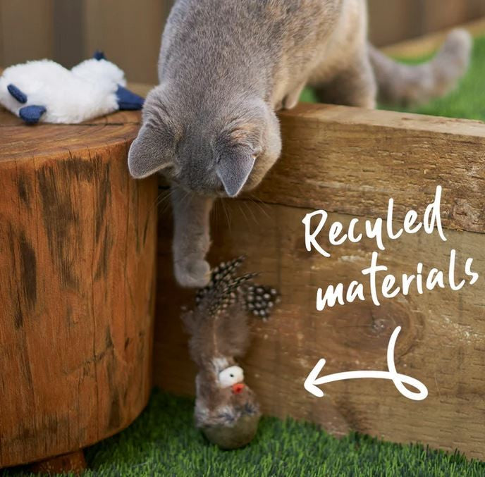 Kazoo Cat Toy Wobble Bird-Cat Gyms & Toys-Ascot Saddlery