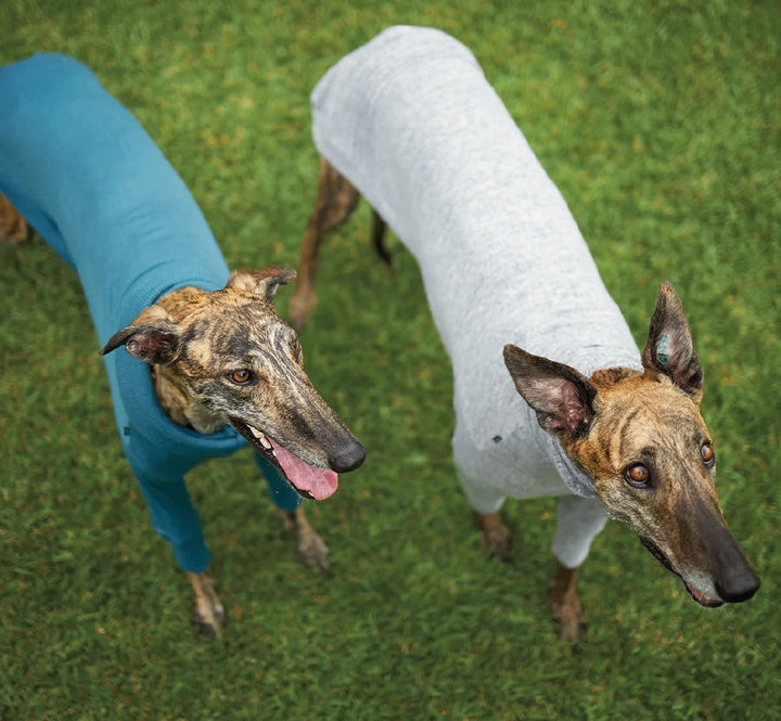 Kazoo Dog Rug Greyhound Softie Grey-Dog Rugs & Fashion-Ascot Saddlery