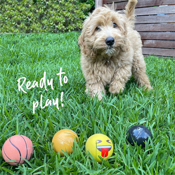 Kazoo Dog Toy Ball Sports Sponge Assorted-Dog Toys-Ascot Saddlery