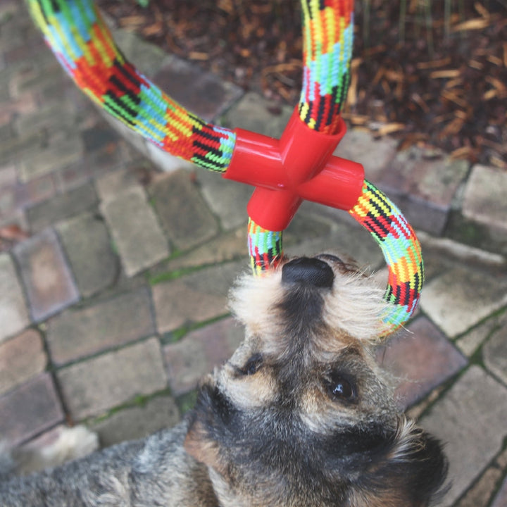 Kazoo Dog Toy Braided Rope Figure Eight Tug-Dog Toys-Ascot Saddlery