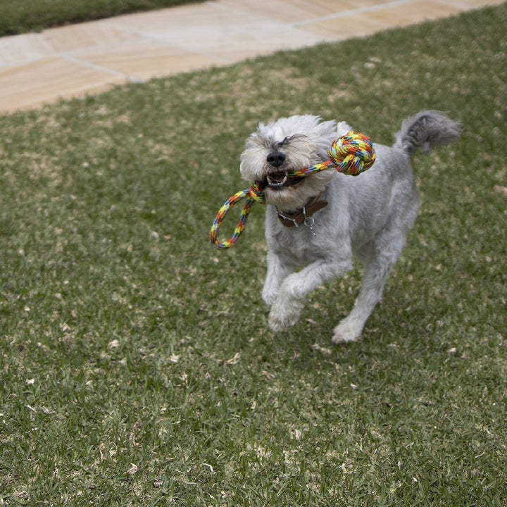 Kazoo Dog Toy Braided Rope Sling Knot Ball-Dog Toys-Ascot Saddlery