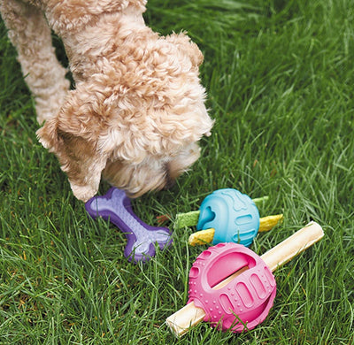 Kazoo Dog Toy Chew & Treat Enrichment Ball Large-Dog Toys-Ascot Saddlery