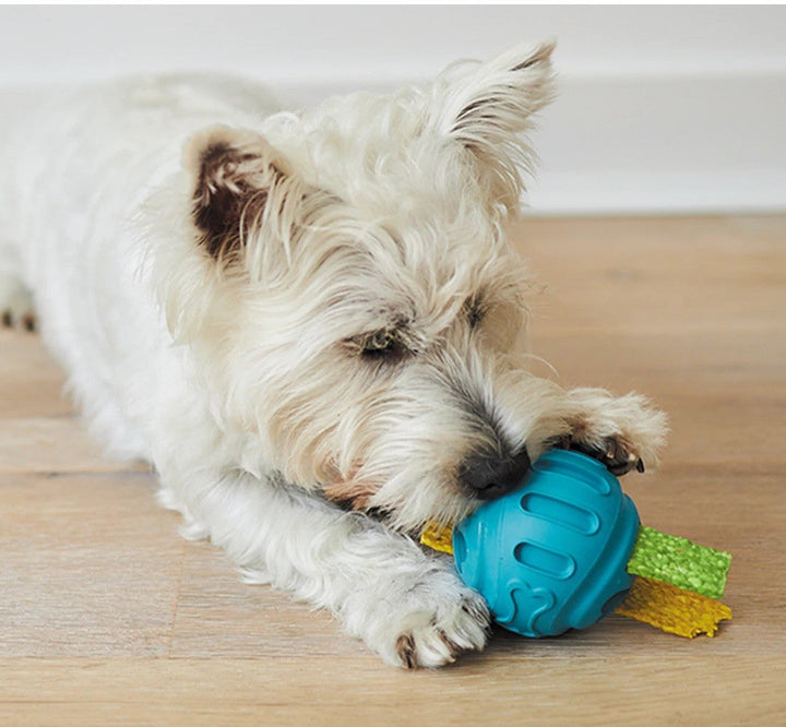 Kazoo Dog Toy Chew & Treat Enrichment Ball Medium-Dog Toys-Ascot Saddlery