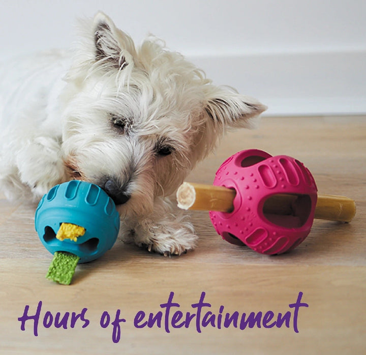 Kazoo Dog Toy Chew & Treat Enrichment Ball Medium-Dog Toys-Ascot Saddlery