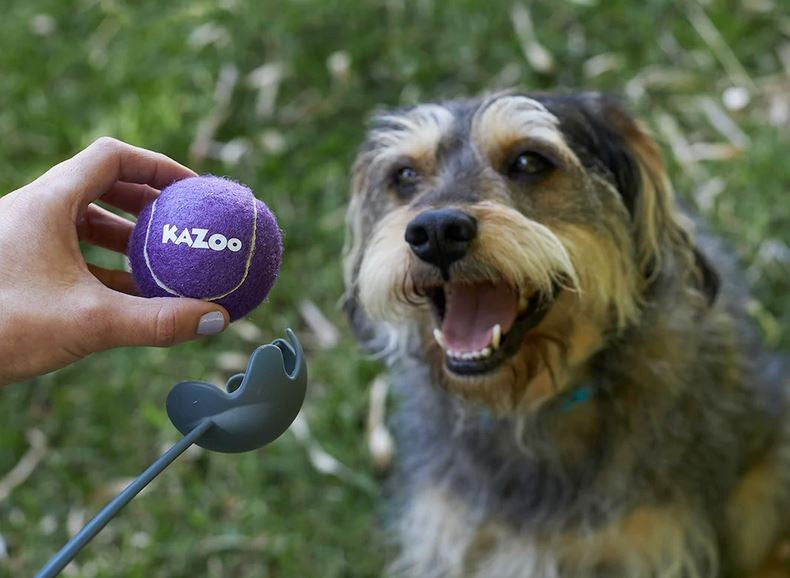 Kazoo Dog Toy Eco Friendly Ball Thrower Medium-Dog Toys-Ascot Saddlery