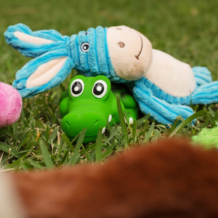 Kazoo Dog Toy Furries Funky Donkey Medium-Dog Toys-Ascot Saddlery