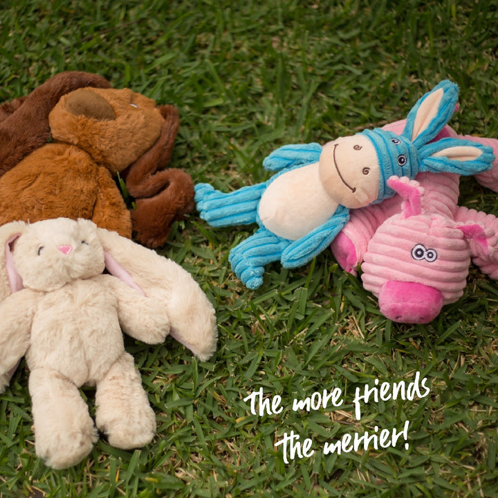 Kazoo Dog Toy Furries Funky Pig Medium-Dog Toys-Ascot Saddlery