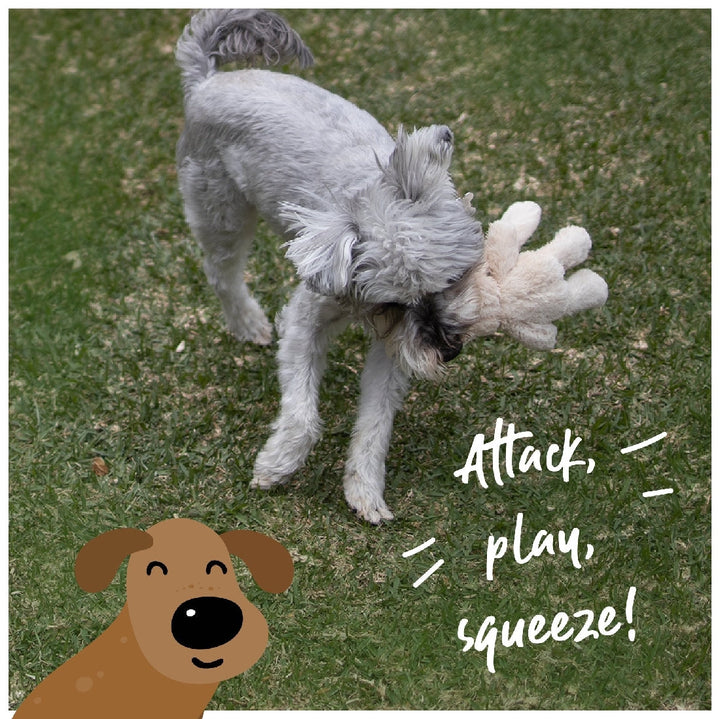 Kazoo Dog Toy Furries Long Eared Bunny-Dog Toys-Ascot Saddlery