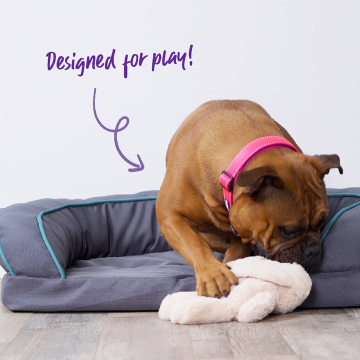 Kazoo Dog Toy Furries Long Eared Bunny-Dog Toys-Ascot Saddlery