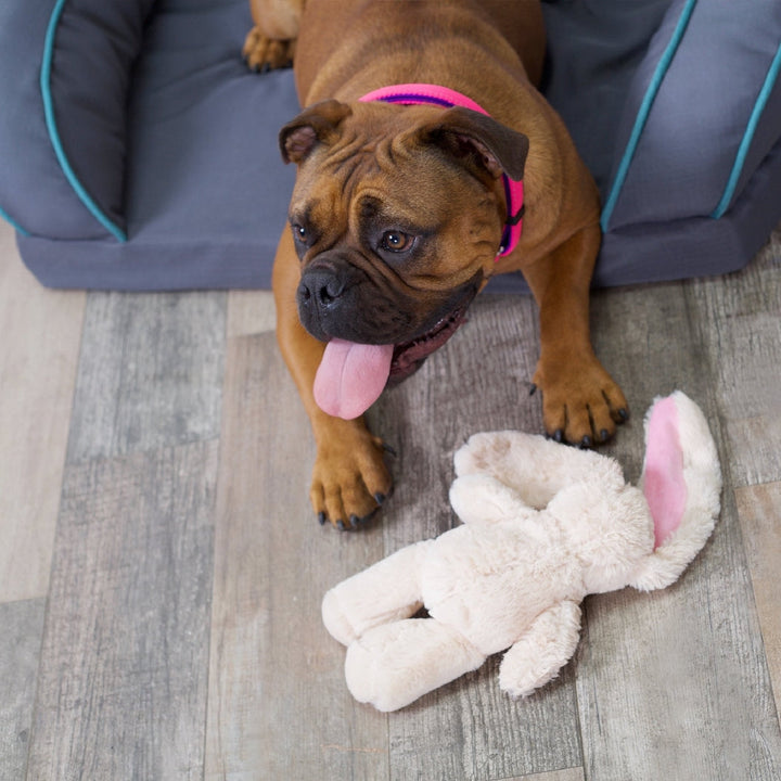 Kazoo Dog Toy Furries Long Eared Bunny-Dog Toys-Ascot Saddlery