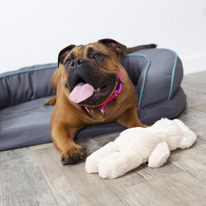 Kazoo Dog Toy Furries Long Eared Bunny-Dog Toys-Ascot Saddlery