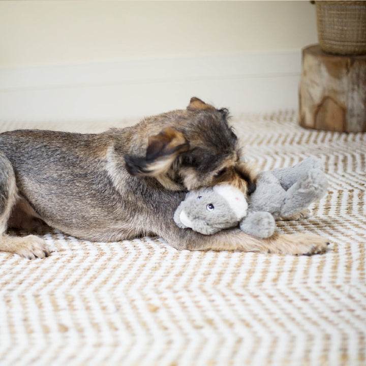 Kazoo Dog Toy Furries Long Eared Donkey-Dog Toys-Ascot Saddlery