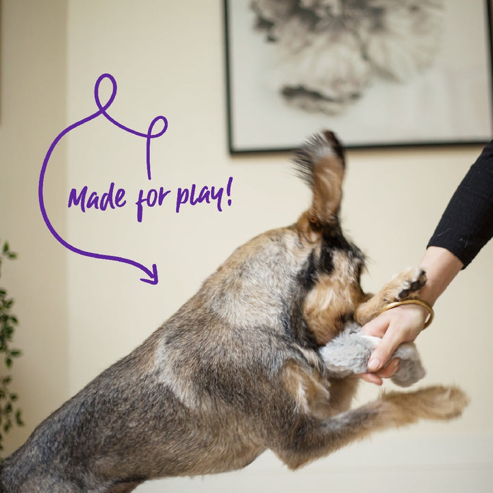 Kazoo Dog Toy Furries Long Eared Donkey-Dog Toys-Ascot Saddlery