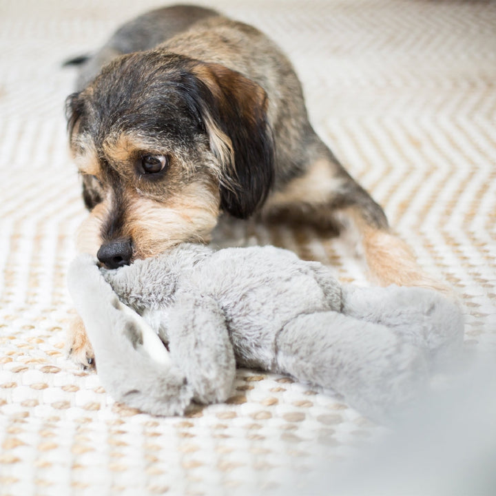 Kazoo Dog Toy Furries Long Eared Donkey-Dog Toys-Ascot Saddlery